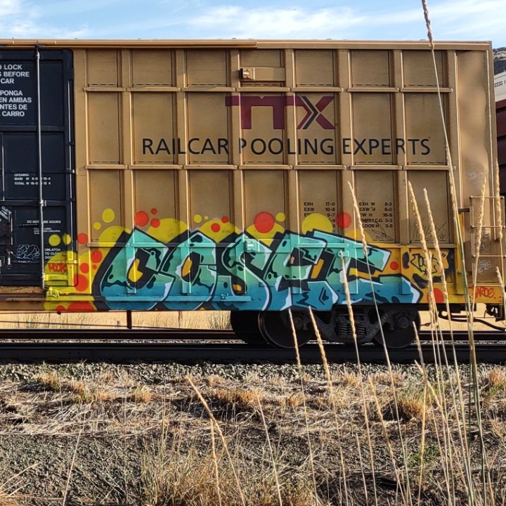 GraffitiExpress's tweet photo. coset
#kamloops #train #graffiti #art
#coset https://t.co/2iePctdY4N