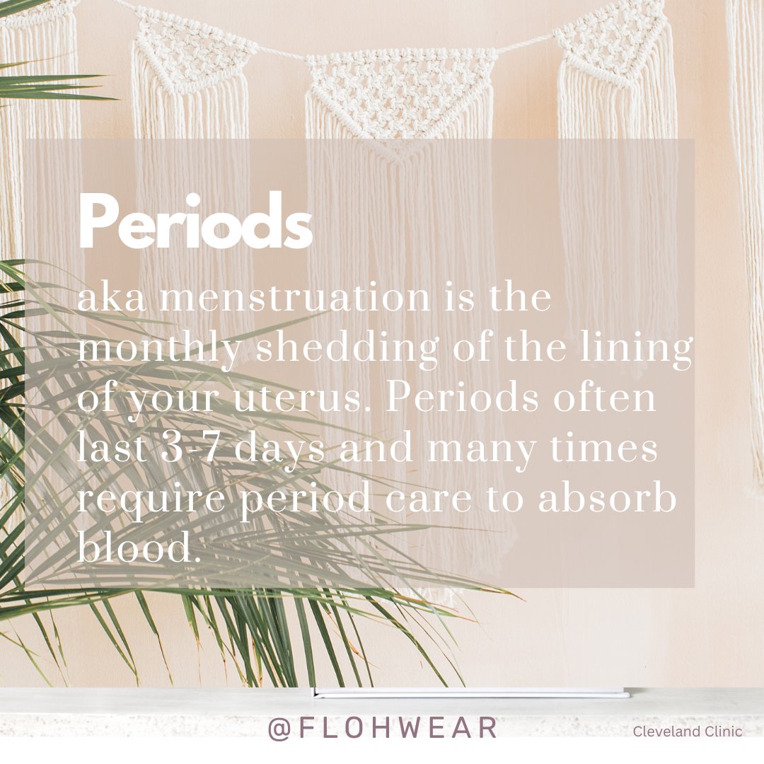 flohwear's tweet photo. At FLOH Wear period, pee, and postpartum absorbing undies we believe understanding below the belt health is important for recognizing what is normal physiology and what is not.  Drop a ❤️ if you agree! https://t.co/uvGQKto4Te