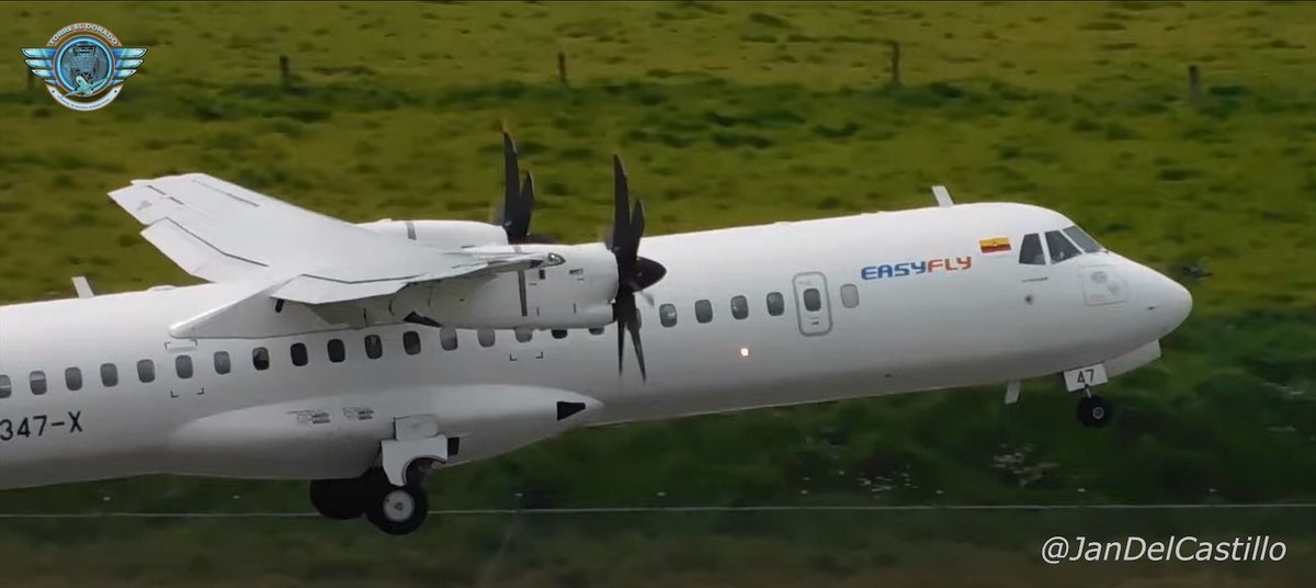 TorreElDorado tweet media