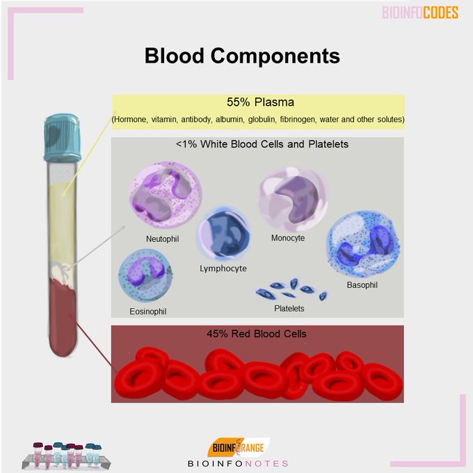 RahulPa11172468's tweet image. #Lymphocyte - They play an essential role in your #immune_system, helping in our body fight #infections. Having a temporarily high #lymphocyte count usually means that your #body is working as it should #protect you from #germs that make you #sick.