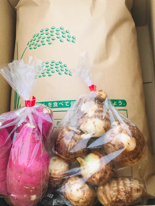 【ご案内】親戚と作っているお米「ヒノヒカリ」(天日干し)の通販を行っておりますお得な定期便プランもあり、お米の他にじゃがいもやさつまいもなど同封させていただいております。何卒、よろしくお願いします※おまけの内容は都度変わります。⠀【詳細・お申込】 