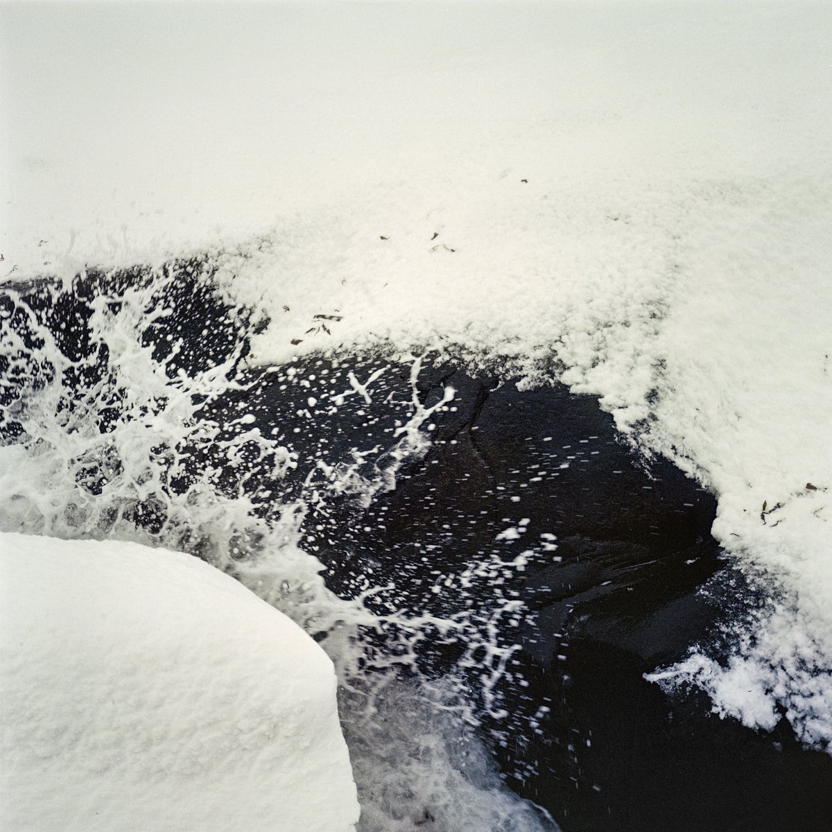 simon_diamond's tweet photo. Water meets snow💦❄️
Mamiya 6 MF
75mm F3.5
Kodak Gold 200
FFP C-41 kit
#believeinfilm #1990sCameraChallenge @ShittyChallenge https://t.co/yqgUsu820j