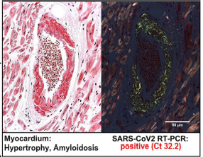 Walter M Chesnut tweet media