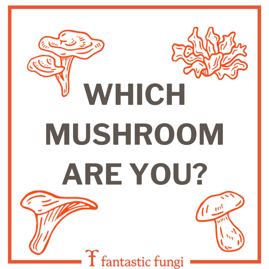 Our fungal allies are more like us than we might realize — we actually share more DNA with their kingdom than with plants. Take the quiz and discover your mushroom kindred spirit. bit.ly/3GN9tFd