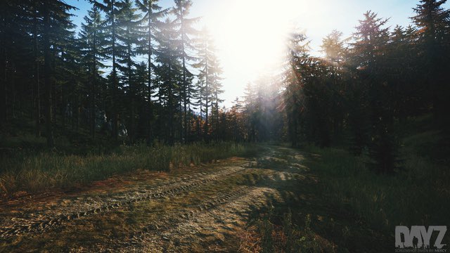 DravonTBHunter's tweet photo. How to be a dayz player for noobs: step one , find other players. step 2, never leave their side (unless they try to kill you) #dayztips #howtogaming #howto #dayz #meme https://t.co/WylGh4PexS