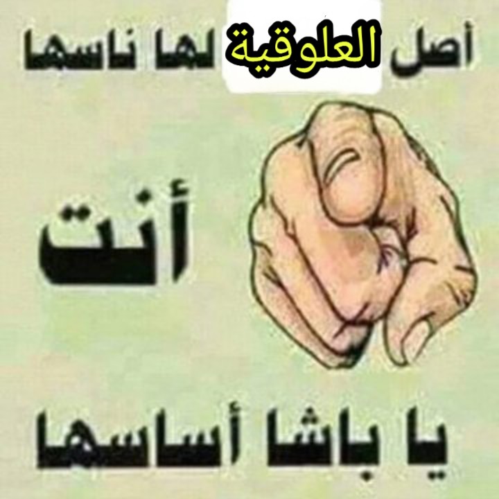m7mdgadd74's tweet photo. حبيبي https://t.co/yg1OJvpD89