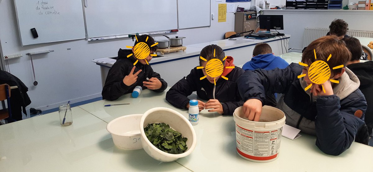 Réalisation DIY de lessive à la cendre et de lessive au lierre. De la chimie pour un bénéfice environnemental ! Il y a même 2 grands 3e....