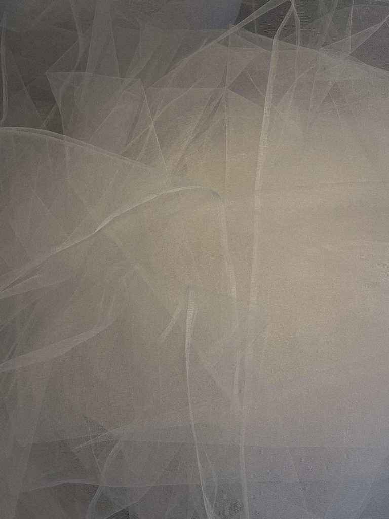 Banema Studio tweet media