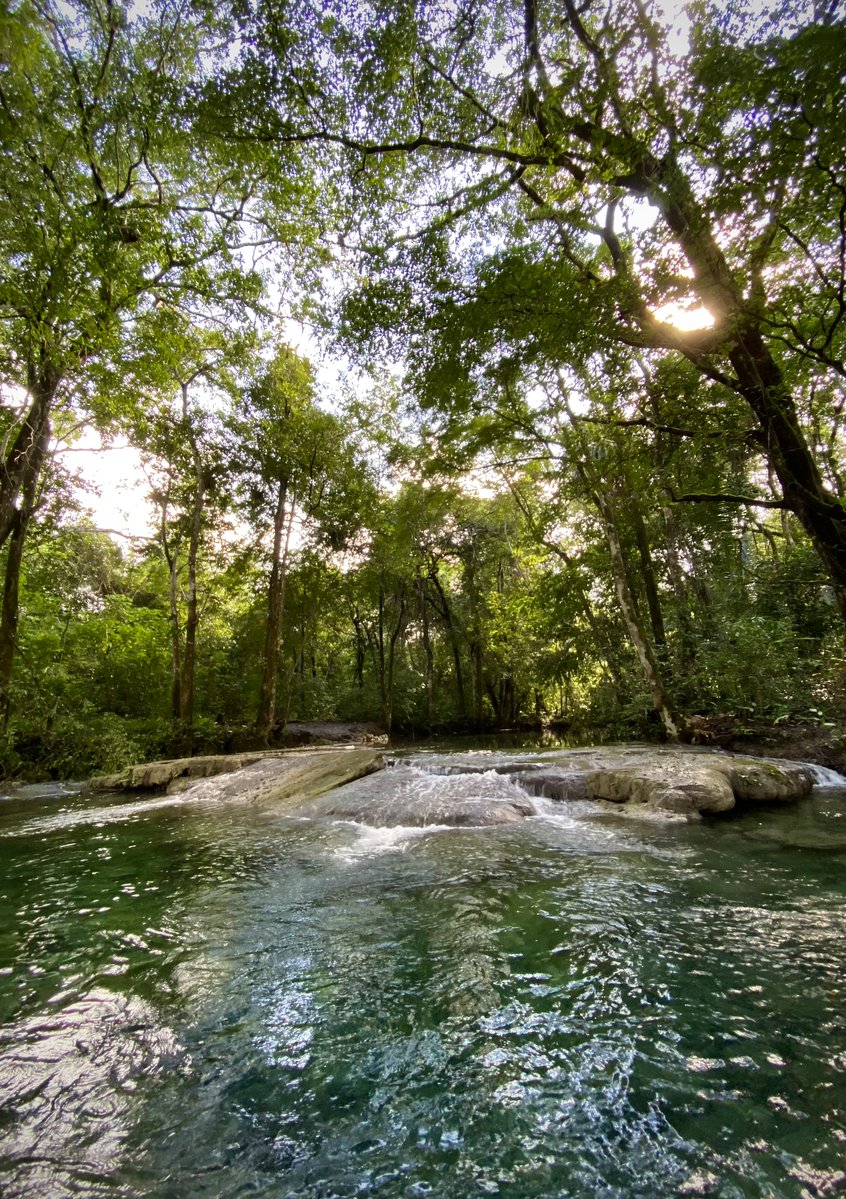 MyBelizeBox's tweet photo. Good morning, #Belize! 🇧🇿🌳
.
.
📸 @ Edwin Castro
.
.
#mybelizebox #goodmorning #belize #goodmorningbelize #travelbelize #visitbelize #caribbean #nature https://t.co/TGESUhT2fp
