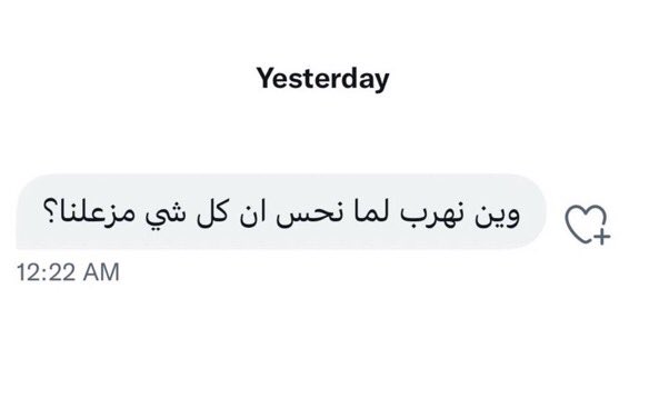 عائشة tweet media