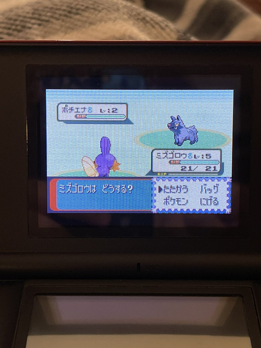 Spooky_Chu's tweet photo. Shiny Mudkip! After 8312 SRs, I can’t believe I got a 8192 shiny before getting my sprigatito in Gen 9. Member #2 for my 3x R/S DTQ. Only one starter to go.
#Shiny #Pokemon #PokemonShiny #PokemonGen3 https://t.co/xpJ3AZCltB