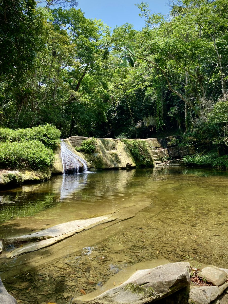 MyBelizeBox's tweet photo. Good morning, #Belize! 🇧🇿☀️
.
.
📸 @ Edwin Castro
.
.
#mybelizebox #goodmorning #belize #goodmorningbelize #sanantoniofalls #sanantoniovillage #toldeodistrict #travelbelize #visitbelize #caribbean #luxurytravel https://t.co/UJkCpItnXq