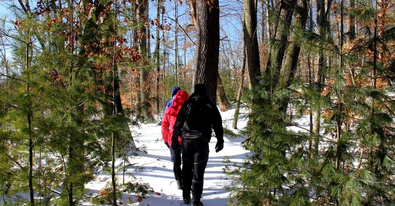 MtPleasantCVB's tweet photo. Michigan Fun Fact #2: Do you know what Michigan is known for its fishing and forestry? In central Michigan, we have over 1,000 acres of parkland, 22 nature preserves, and 92 miles of the Chippewa River. Click below to learn more! 🌲🥾#meetmtp #nationalmichiganday