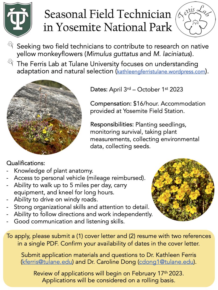 ferrisifolius's tweet photo. Do you like plants? evolution? Working in gorgeous places? 

Apply to be a field technician in Yosemite working on local adaptation in beautiful #Monkeyflowers in the Ferris lab!!!!! See add below for details. Please RT!!!!! #iamabotanist #Mimuluspropaganda https://t.co/hWAThezxzh