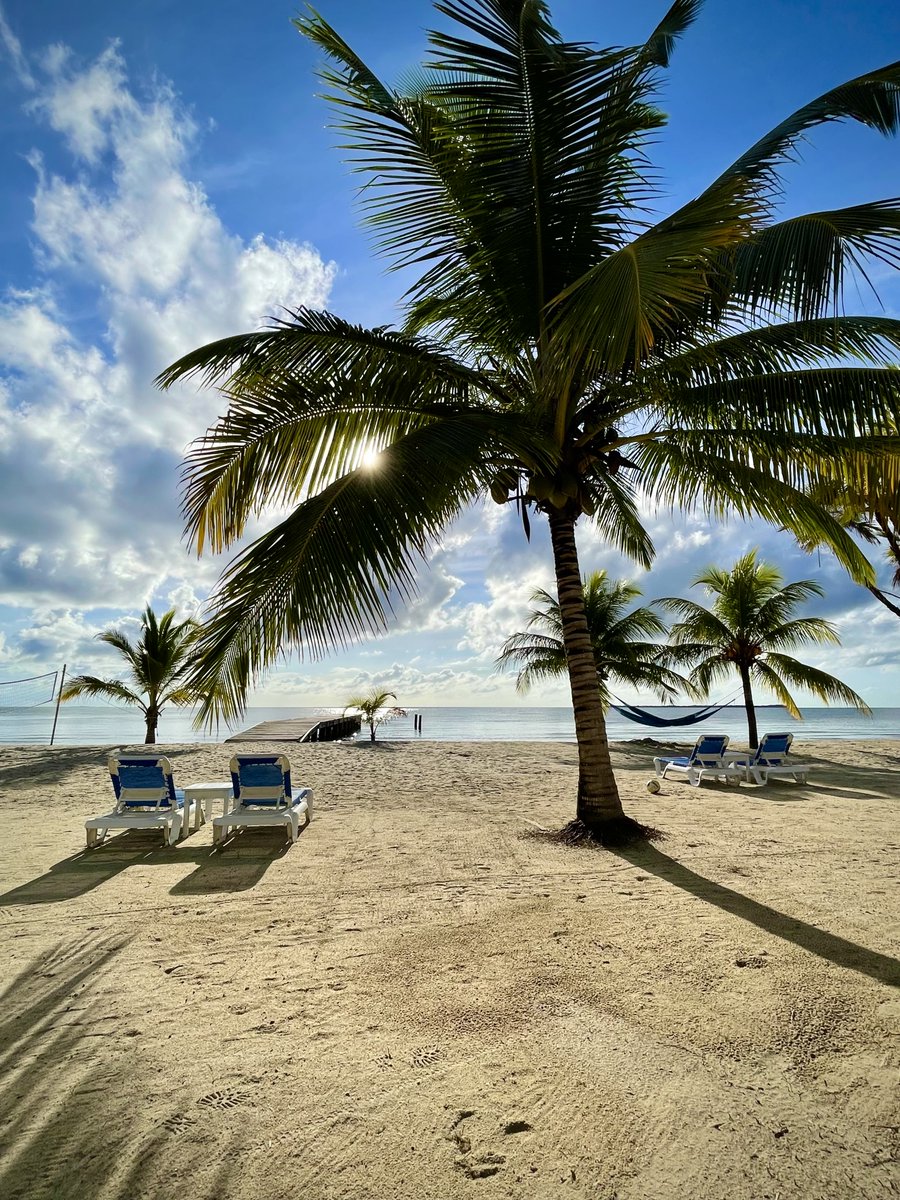MyBelizeBox's tweet photo. Good morning, #Belize! 🇧🇿🌴
.
.
📸 @ Edwin Castro
.
.
#mybelizebox #goodmorning #belize #goodmorningbelize #beachlife #travelbelize #visitbelize #caribbean #luxurytravel https://t.co/U5wFN5J97E