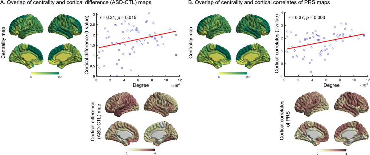 molpsychiatry's tweet photo. A critical role of brain network architecture in a continuum model of autism spectrum disorders spanning from healthy individuals with genetic liability to individuals with ASD. By Budhachandra Khundrakpam et al. @mcgillu #autism #brainnetwork #OpenAccess https://t.co/rxvKZ634Lh https://t.co/KHVuZUvD1i