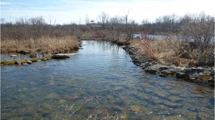 WaterAgencyCAN's tweet photo. With funding from @environmentca’s #GreatLakes Protection Initiative, #BatchewanaFirstNation is improving 🐟 habitat around #WhitefishIsland in the #StMarysRiver #AreaOfConcern. Find out more: https://t.co/Zpnanfff1O https://t.co/cdHlyCY5tU