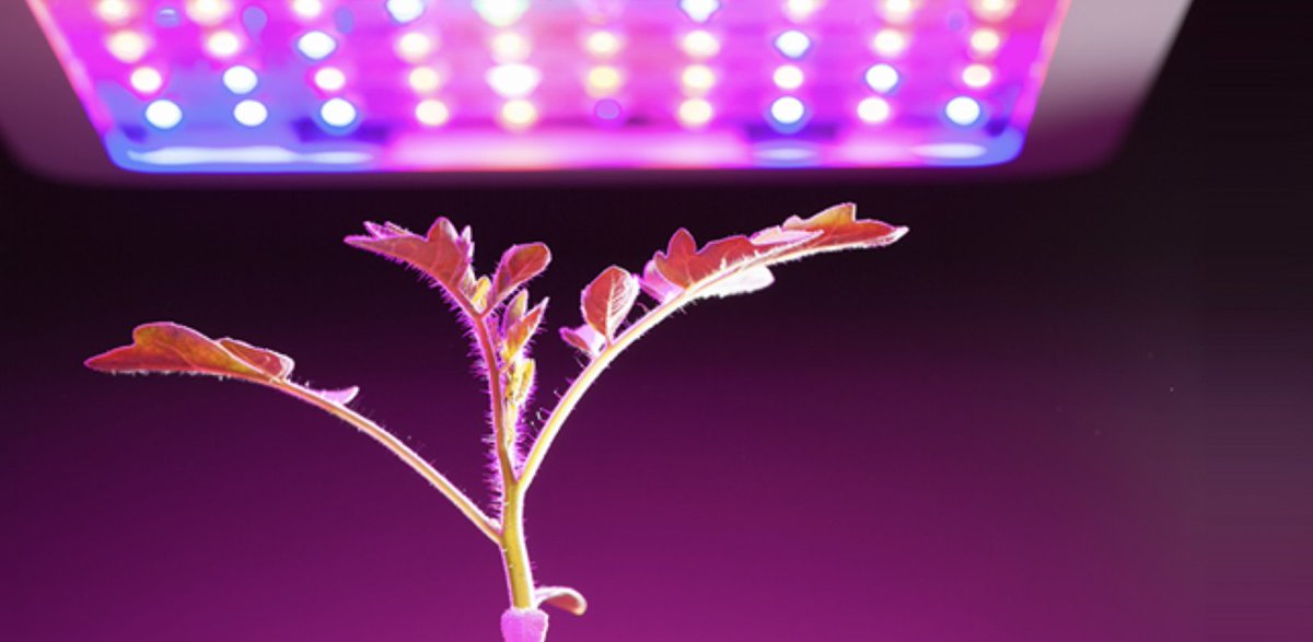 LuminusDevices's tweet photo. #LuminusDevices products enable exceptional focusing of light, and deliver a superior quality of #light with outstanding color rendering, efficacy, and precise spectra for health and comfort. View our latest innovations at https://t.co/xEQW7ZYQvf. #lightingdesign #lighting https://t.co/0QMI5HZPl0