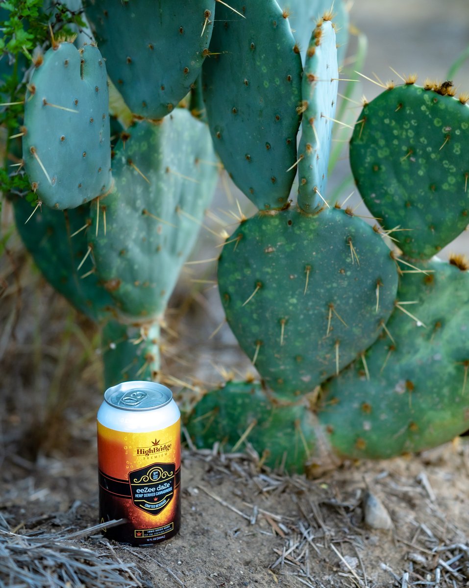 What a day for a day drink
.
#infusedbeer #madeintexas #drinkresponsibly #marijuanacommunity #beertime #drinkcannabis #cannabismovement #nature #plantlife #outdoors #vibes #texas #wildwest #positivevibes #adventure #adventuretime #mothernature #discover #hemp #craftbeer #wander