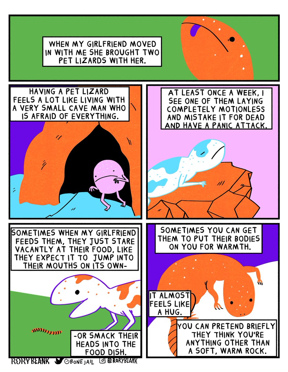 Pet Lizards 