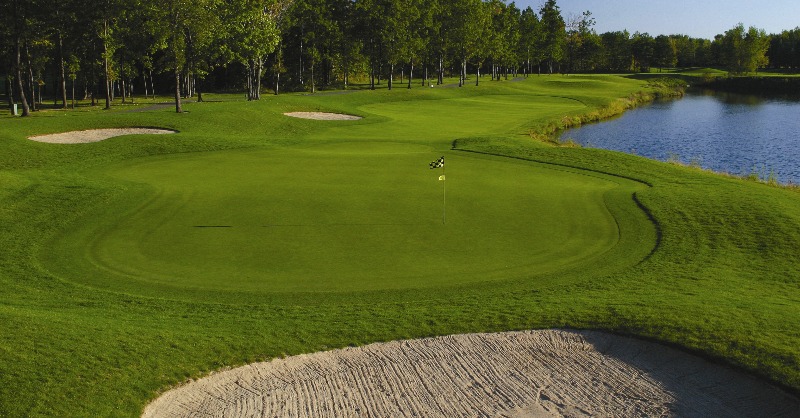 MtPleasantCVB's tweet photo. Michigan Fun Fact #3: Did you know Michigan is the unofficial golf capital in the United States? Having more than golf courses than any state, central Michigan offers 11 out of 650 courses in Michigan. Book your golf trip today! ⛳🏌️ #meetmtp #nationalmichiganday