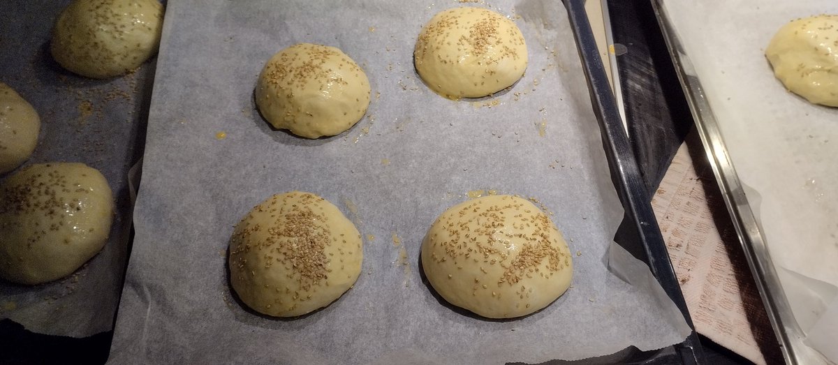 AnnaMiyuuu's tweet photo. Hoy Hamburguesa para cenar 100% casera hasta el pan está brutal #hamburguesa #burger #cocina #Cooking #chedar #queso #chease #PAN #españa https://t.co/t6oJFUHkCr