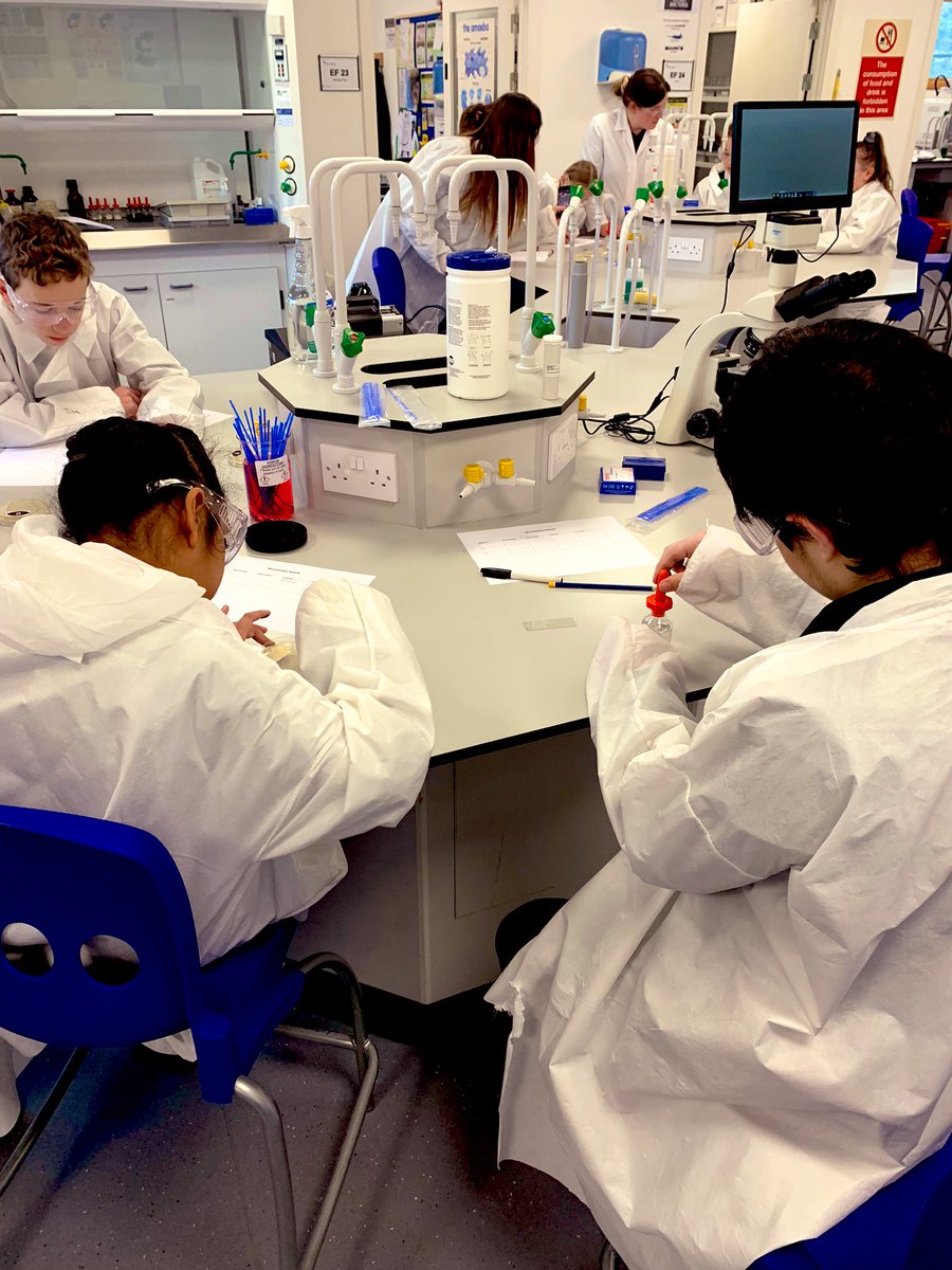 Mrs Antoine CDT tweet media