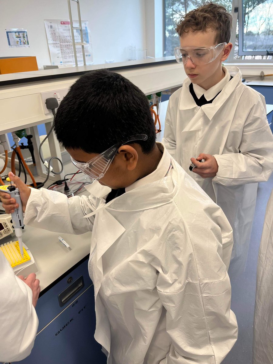 Mrs Antoine CDT tweet media