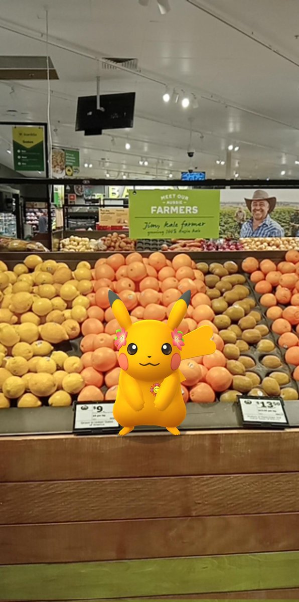 RG_RHsfan's tweet image. Went to shopping yesterday for the first time in three years #PokemonGO #PokemonGoPhoto