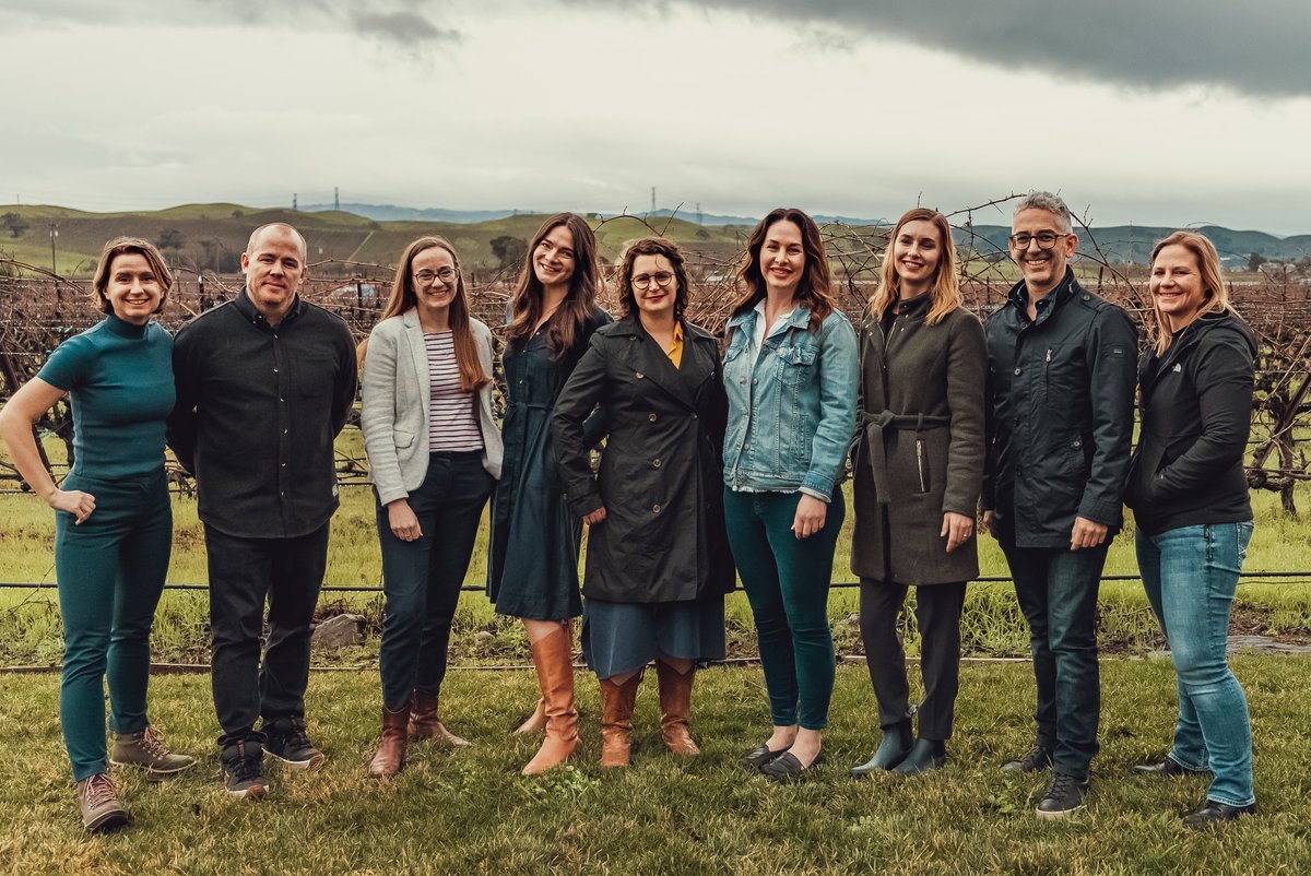 David Gluzman tweet media