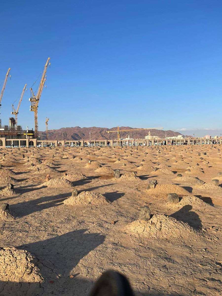 وَيَسْأَلُونَكَ عَنِ الرُّوحِ ۖ قُلِ الرُّوحُ مِنْ أَمْرِ رَبِّي وَمَا أُوتِيتُم مِّنَ الْعِلْمِ إِلَّا قَلِيلًا