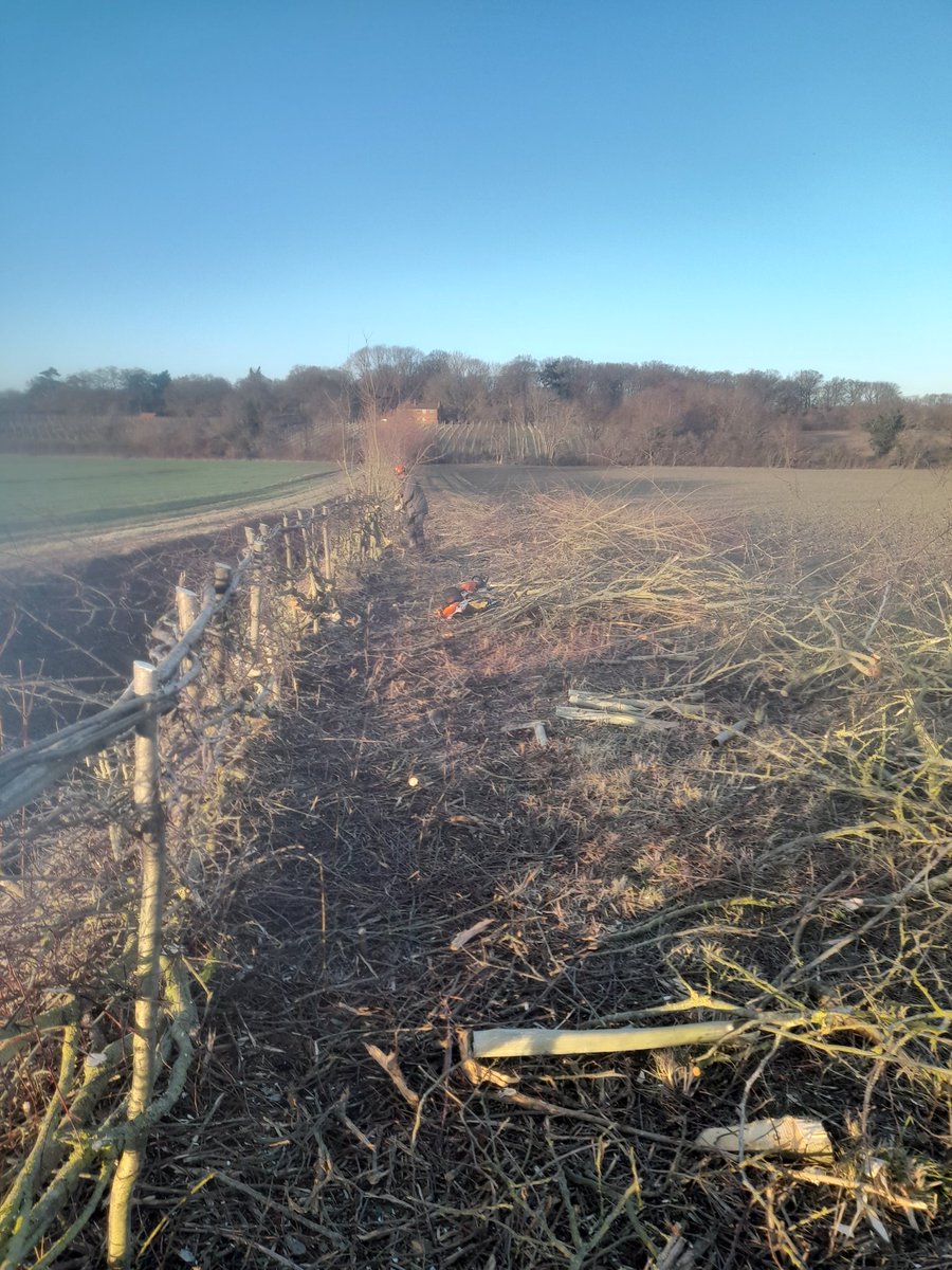 I headed into suffolk and got laid thank to Gouldy and <a href="/TrooperSnooks/">Richard Negus</a> thanks for the expert tutorial looking forward to carrying on at home