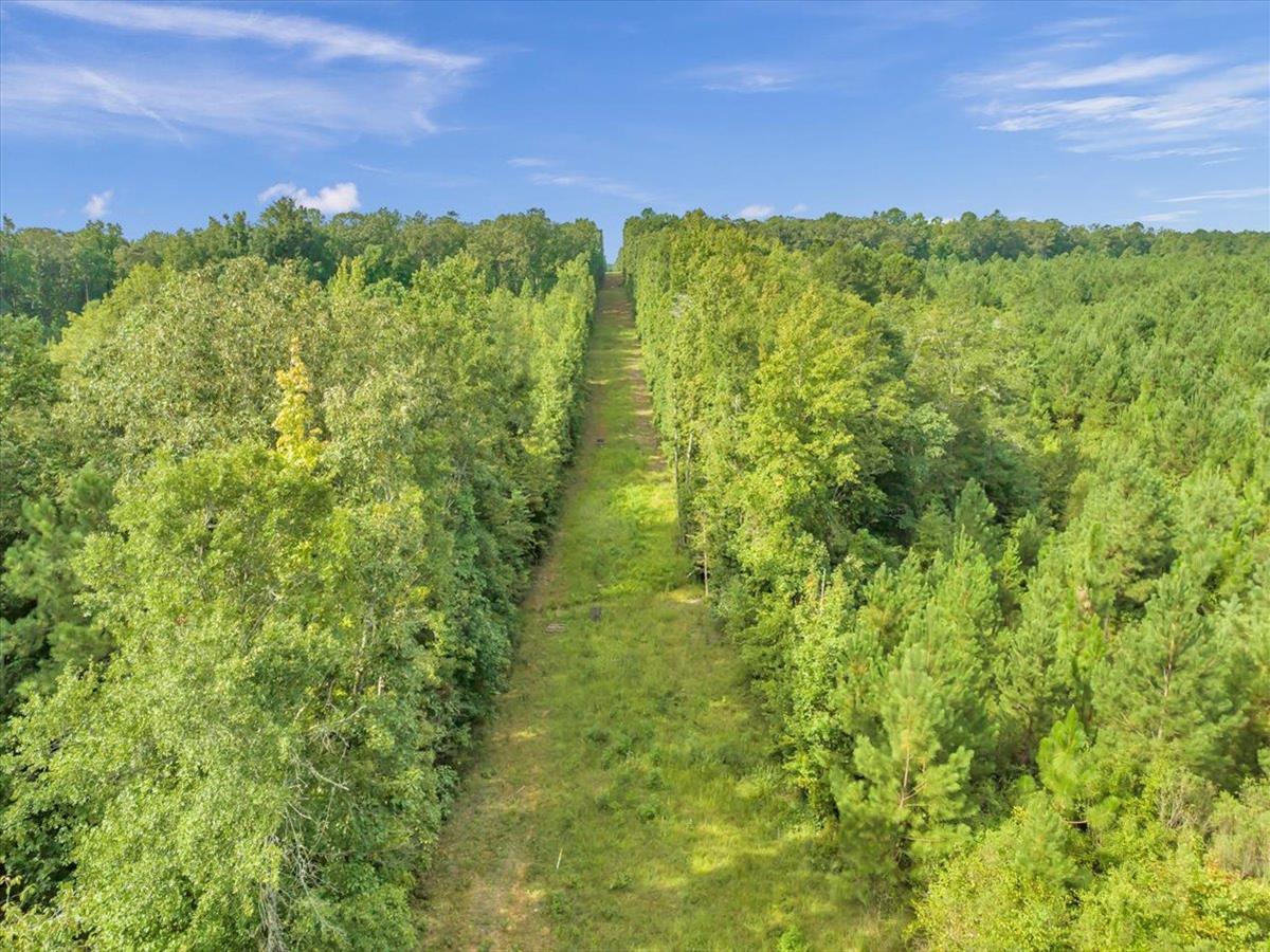 Feature #Ranch: This 396 +/- acre tract in Harris Co., GA, is a fine timber &amp; hunting property. It offers timber resources, creek frontage, and the potential  to be one of the finest hunting properties in the county. Offered by Matre Forestry Consulting. ow.ly/CwIu50Mt6IC