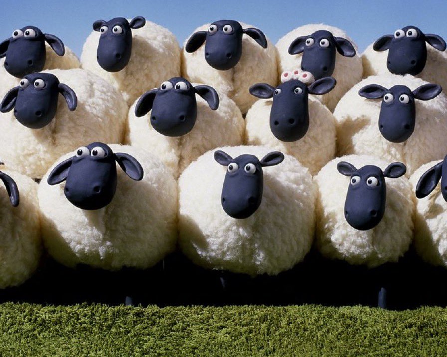all of wills sheep watching him have his first kiss #LoveIsland