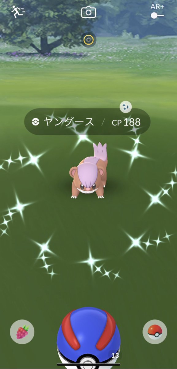 ポケモンgo ビッパの色違い 入手方法と実装状況 攻略大百科