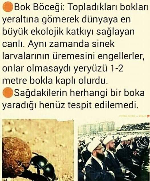 Altına imzamı attım...