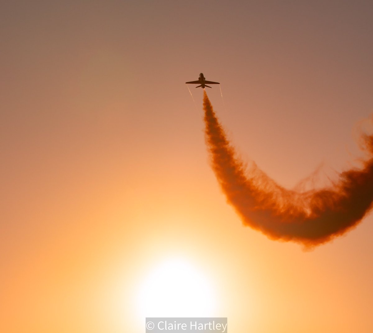 Claire Hartley tweet media