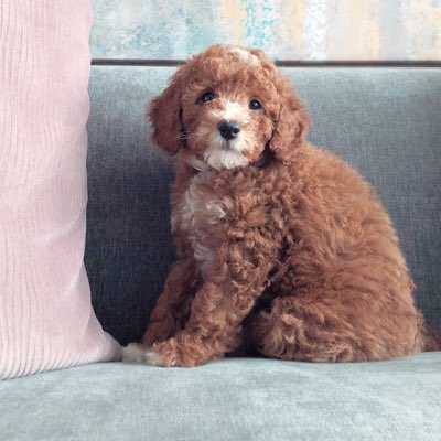 zoestaycute's tweet photo. #NewProfilePic https://t.co/rEvpM6Bjjd