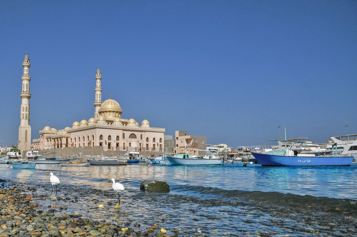 Eileen Ogintz tweet media