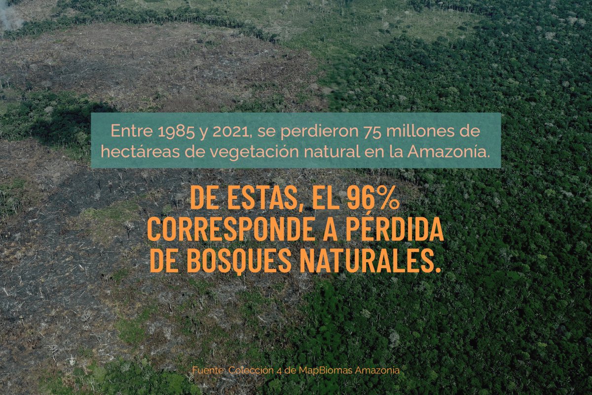 gaiaamazonas's tweet photo. Información como esta es la que nos brinda la herramienta MapBiomas Amazonía, una iniciativa liderada por la Red Amazónica de Información Socioambiental Georreferenciada, RAISG, de la cual Gaia Amazonas hace parte. 👇 https://t.co/1udq0E7Rzs