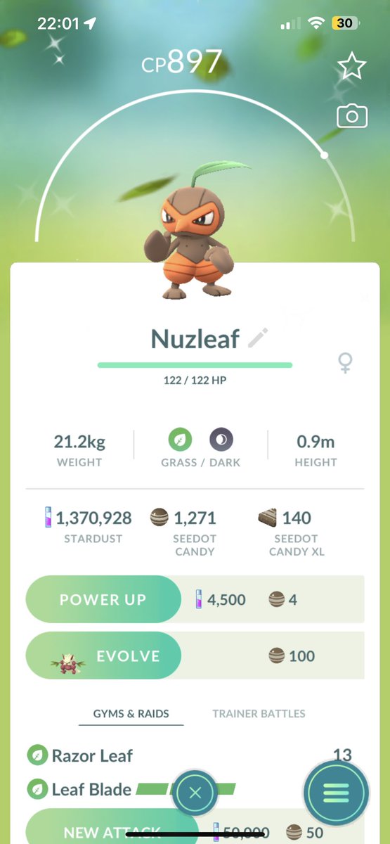 RAPokemon_'s tweet photo. So was a okay spotlight hour manage to get the final shiny seedot needed for the shiny family and also manage to catch a very random Nundo Seedot 😂💪 #PokemonGO #spotlighthour #ShinyPokemon #pokemongocontent https://t.co/HW9Ogp5Xit