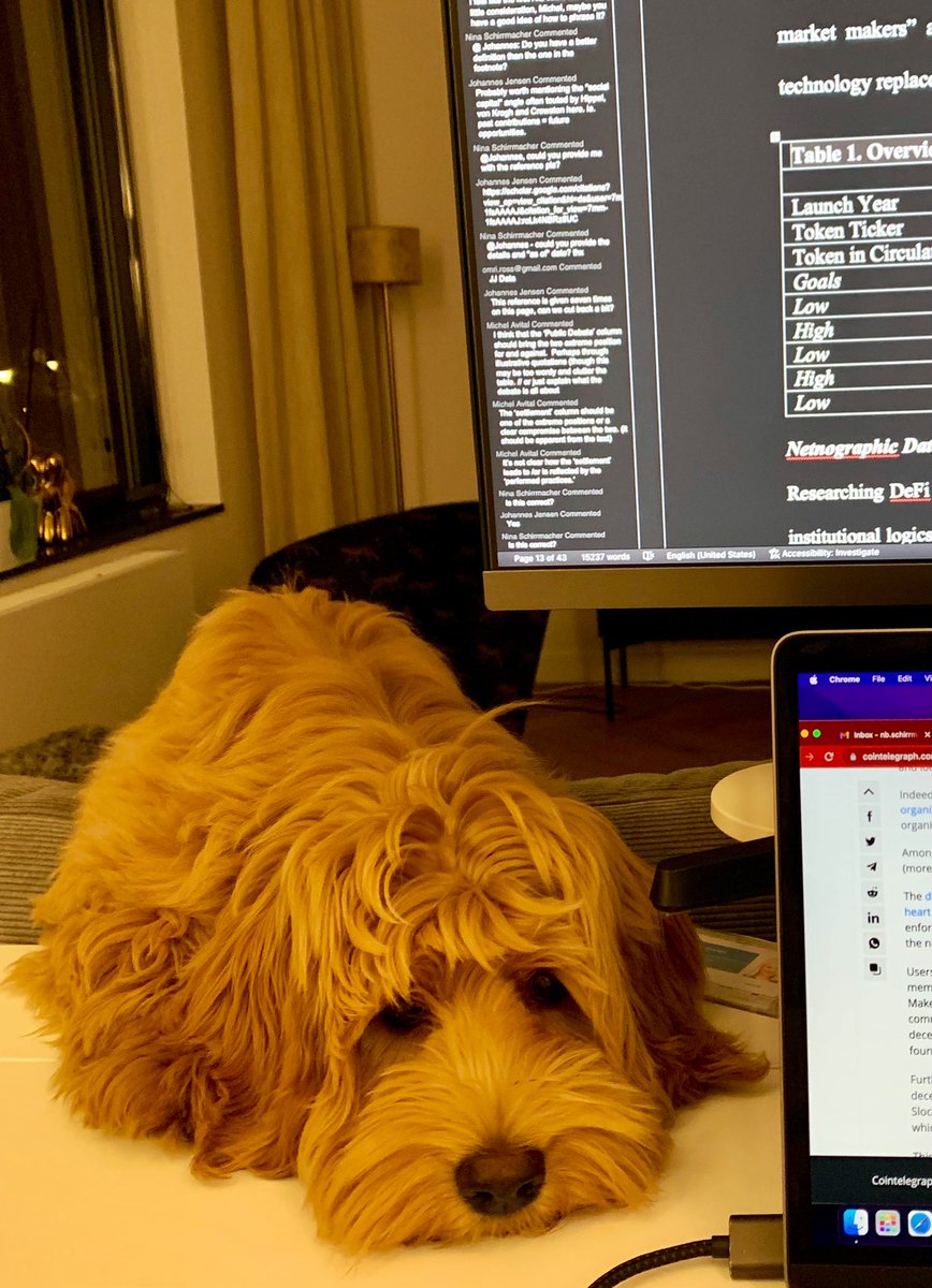 Late night meeting with the co-🐾-thor. #ISresearch #AcademicTwitter