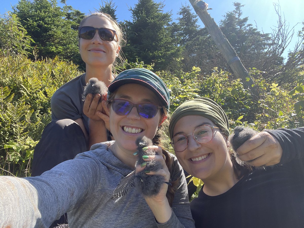 3 cool chicks… and we’re there too! Smiles all around! #FieldWorkJoy #FieldInclusiveWeek #LeachsStormPetrel