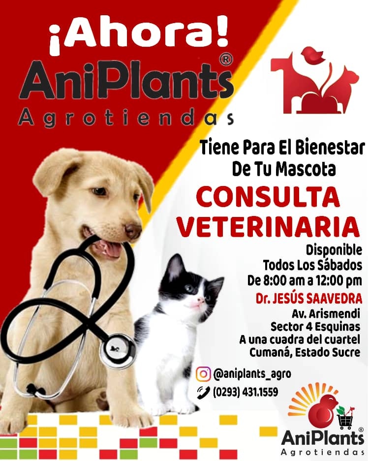 serfiagro's tweet photo. @jessicaconecta En Cumaná existen como en todas las profesiones y oficios, personas que cobran demás y su trabajo no es eficaz. Además existen muchos graduados que sacan el título en una caja de Ace.En ANIPLANTS hacemos medicina PREVENTIVA. Y HOMBRE PREVENIDO VALE POR DOS. https://t.co/l0jwysbQpE