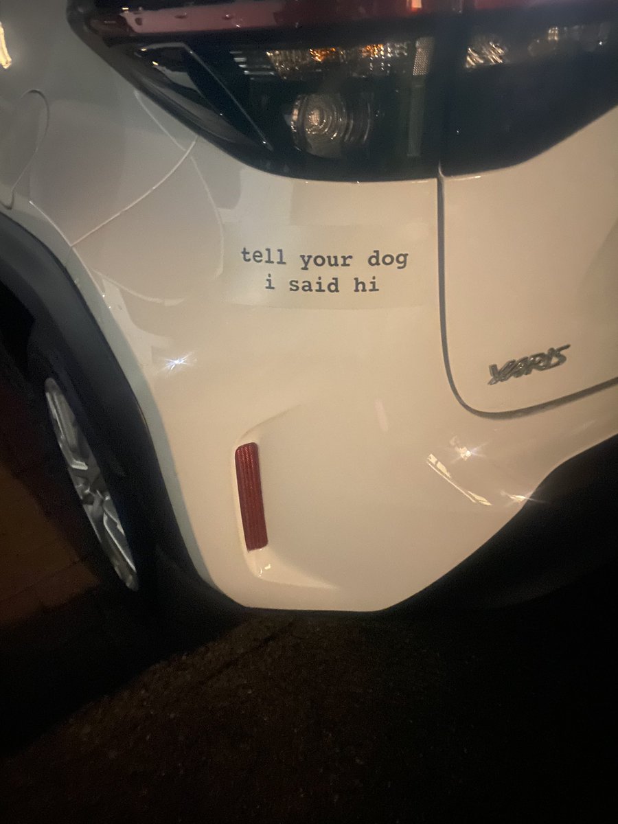 iamrebecca93's tweet image. New sticker for the new car 🤍 #weratedogs #tellyourdogisaidhi