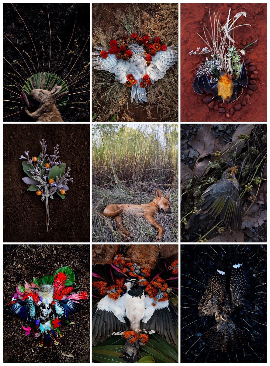 We will add another artist to our drop on <a href="/foundation/">Foundation 🌐</a> and it could be you. 

If you want to be part of this amazing lineup just show your work and we pick one 👀

 <a href="/MarlonNFTs/">MARLON</a> <a href="/hoizon/"></a> 
<a href="/PasanenJenni/">Jenni Pasanen</a> @ArtOfCastellani <a href="/NatalieShau/">💎Natalie Shau 🐈‍⬛</a> @rocketgirlNFT <a href="/spydenator/">Deconstruct</a> <a href="/VioletBondArt/">Violet Bond</a>