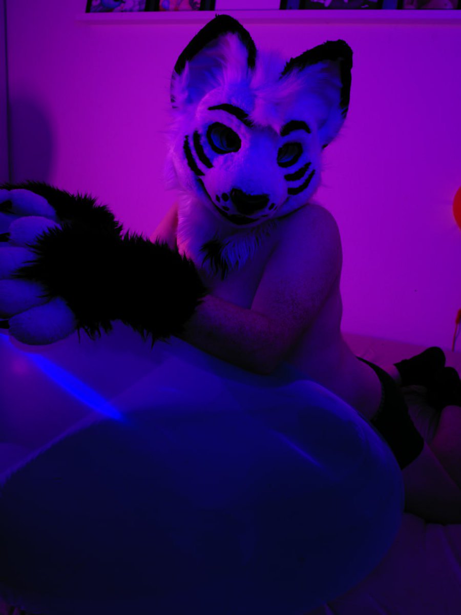 SaviServal's tweet photo. Ohhh hay there... Wanna come snuggle on this loon...the lighting is purrfect https://t.co/XYrzTjPYWB