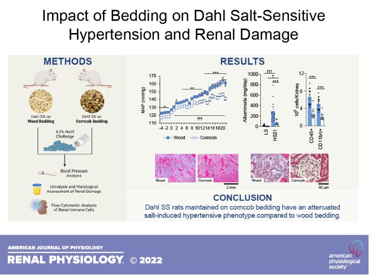 Alexander Staruschenko (@staruschenko) on Twitter photo I am pretty sure that it is not specific to Dahl SS rats and play a role in other rodent models as well.
Impact of bedding on Dahl salt-sensitive hypertension and renal damage by <a href="/DasingerJh/">John Henry Dasinger</a> <a href="/AbaisBattad/">Justine Abais-Battad</a> <a href="/AUG_University/">Augusta University</a> <a href="/AJPRenal/">AJP Renal</a> <a href="/KidneyInCVD/">Kidney in Cardiovascular Disease</a> journals.physiology.org/doi/full/10.11… I am pretty sure that it is not specific to Dahl SS rats and play a role in other rodent models as well.
Impact of bedding on Dahl salt-sensitive hypertension and renal damage by <a href="/DasingerJh/">John Henry Dasinger</a> <a href="/AbaisBattad/">Justine Abais-Battad</a> <a href="/AUG_University/">Augusta University</a> <a href="/AJPRenal/">AJP Renal</a> <a href="/KidneyInCVD/">Kidney in Cardiovascular Disease</a> journals.physiology.org/doi/full/10.11…