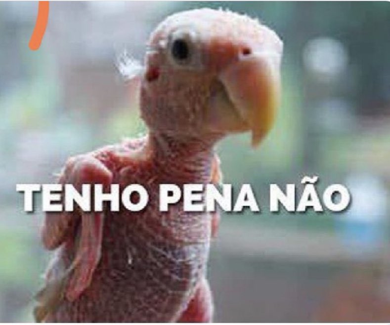 rcastro848's tweet photo. @revistaforum https://t.co/UruHtjavxJ