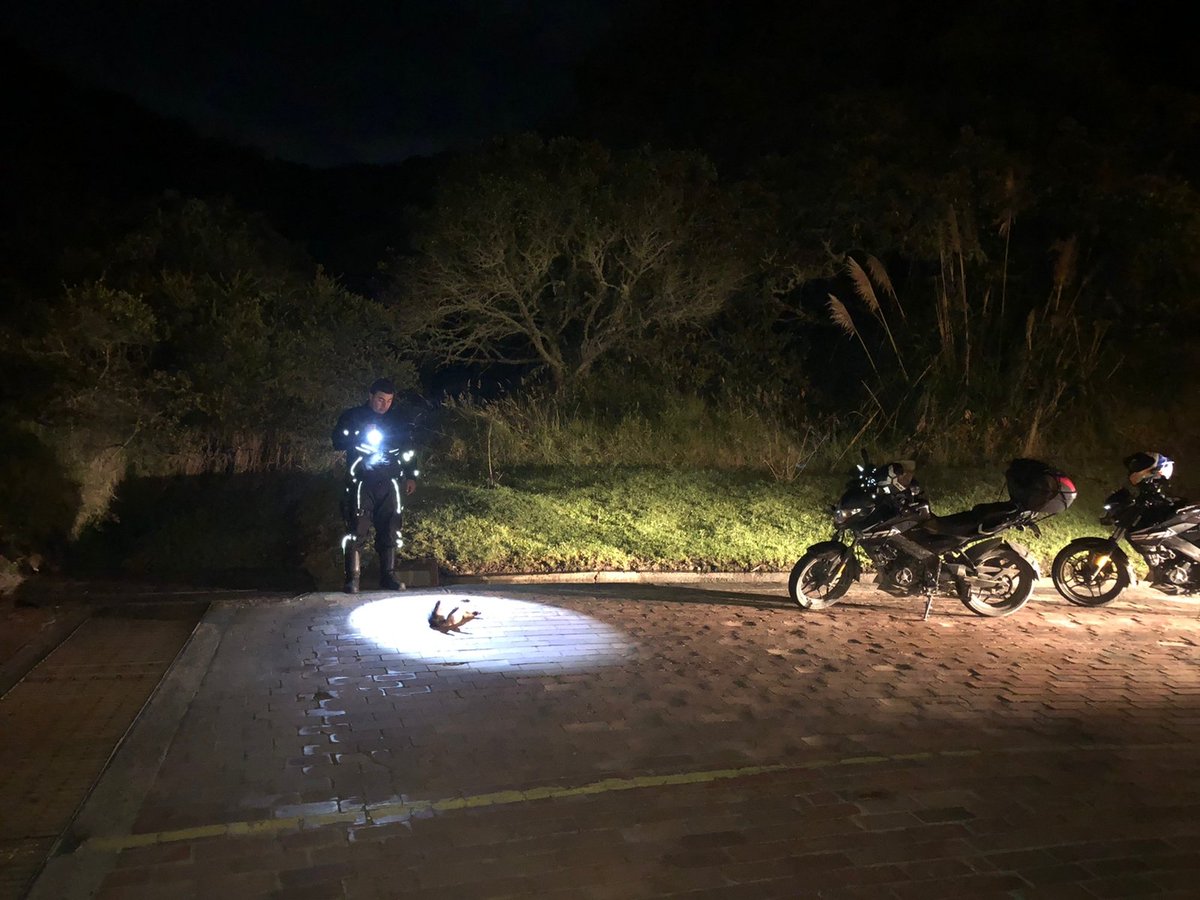 NixonMora12's tweet photo. Seguimos contando los atropellamientos en los conjuntos que la @CAR_Cundi y la @AlcaldiaChia  permitieron urbanizar en los cerros Orientales de Chía; Lo peor es que siguen depredando la montaña. 
Con nombres les diré los ecocidas abro hilo. OjO @susanamuhamad @GustavoCarrionB https://t.co/RZdSkuynX3